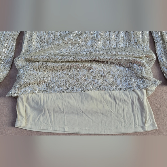 Z SUPPLY Sequin Mini Dress Size M Silver Lined NWT Style ZD234255S RN135090 - Picture 5 of 11